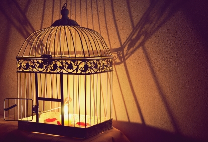 decorative_birdcages_candleholder_centerpiece_string_lights