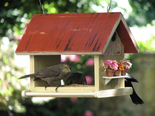 Casas-para-pájaros-para-decorar-jardín