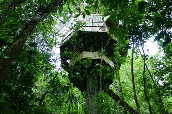 Tree_Houses_11