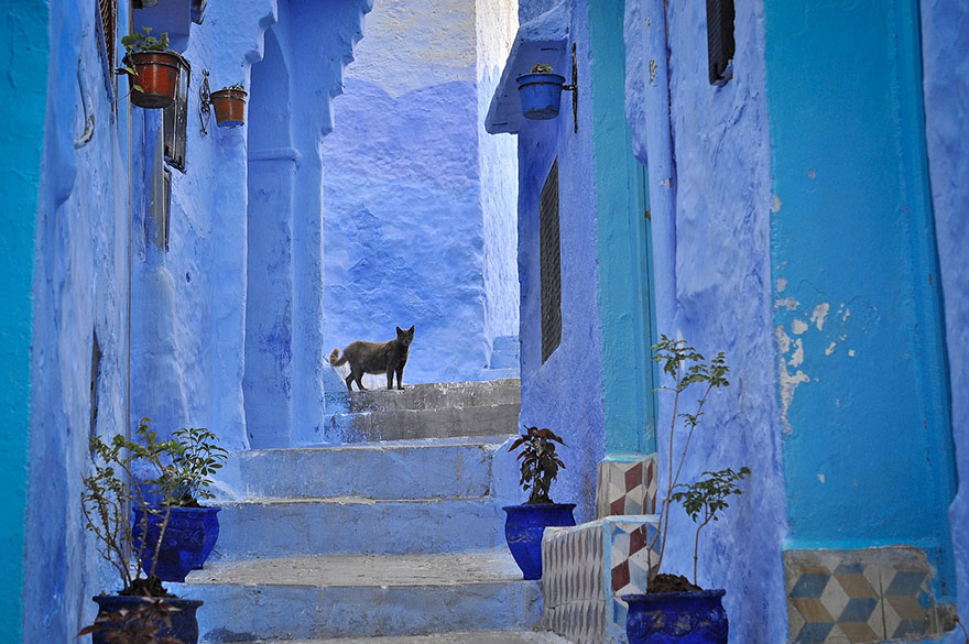 blue-streets-of-chefchaouen-morocco-3