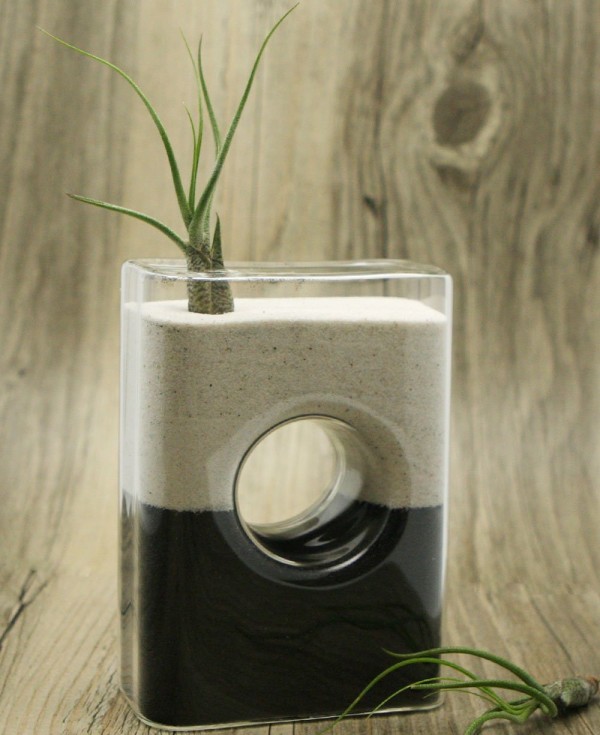 zen-air-plant-terrarium-600x735