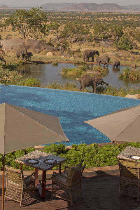 1464580493-1464205961-hotel-pools-four-seasons-safari2