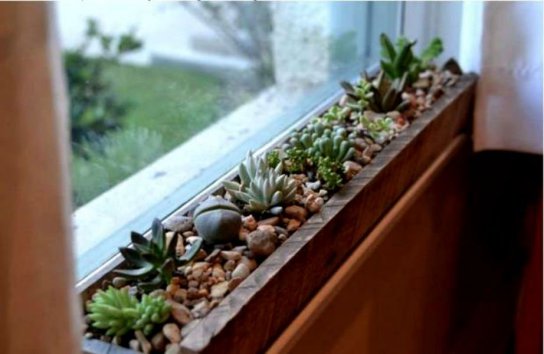 thehomeissue_windowsill002