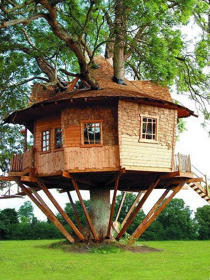 las-casas-en-el-arbol-mas-increibles7